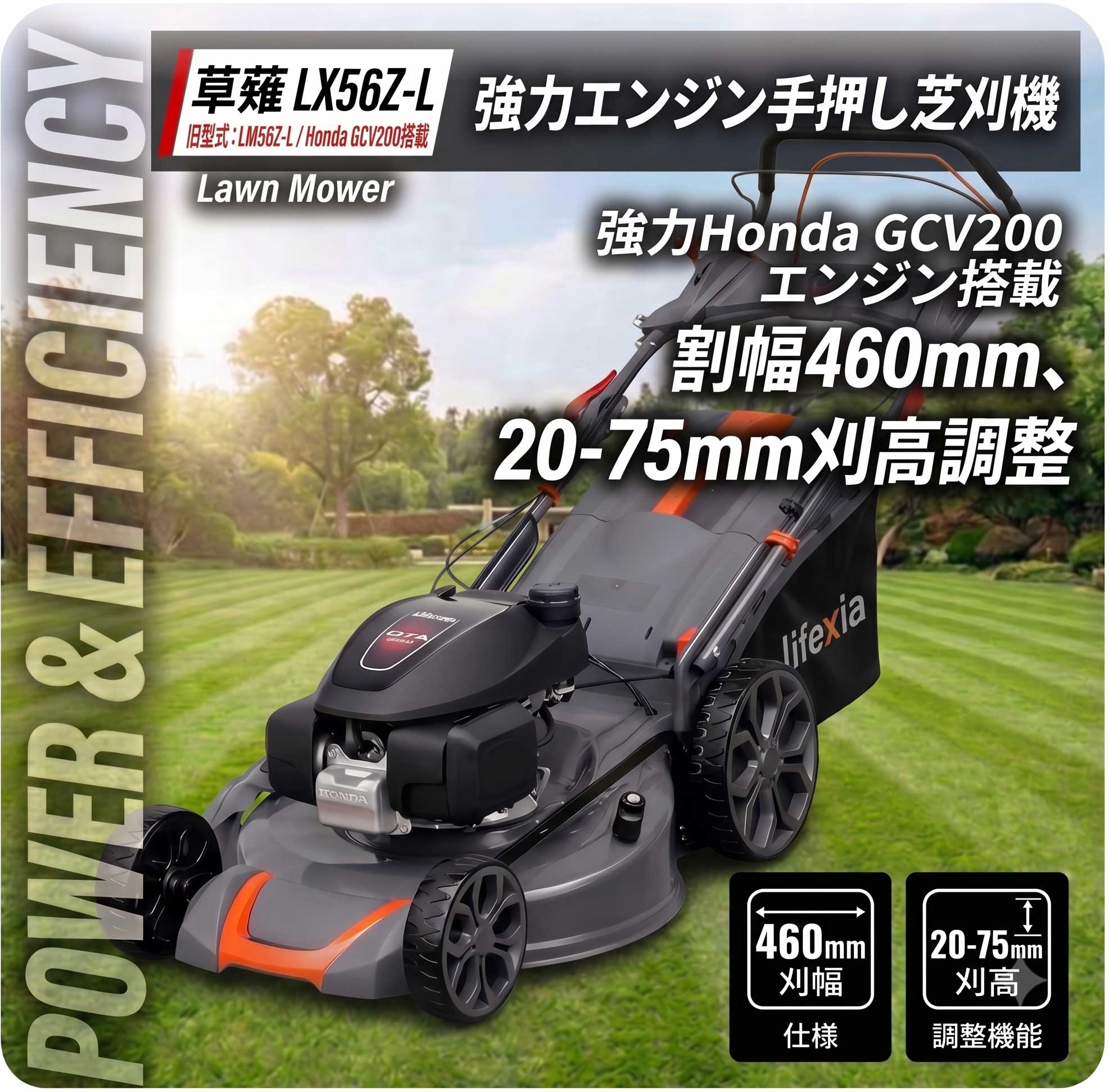 草薙 LX56Z-2L 商品画像